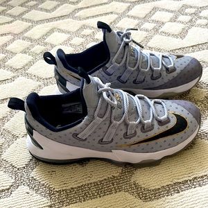 Lebron James 13
